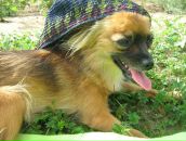 Фотография Гайфуллиной Светланы