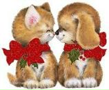 Фотография Ермакова Виктора