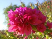 Фотография Черкасовой Натальи