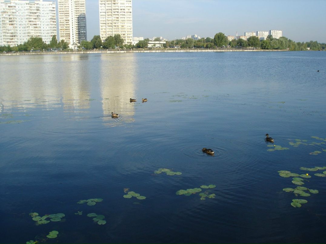 Игорь Kochenoff фотография #37