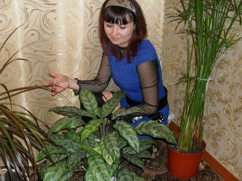 Анна Линченко фотография #25