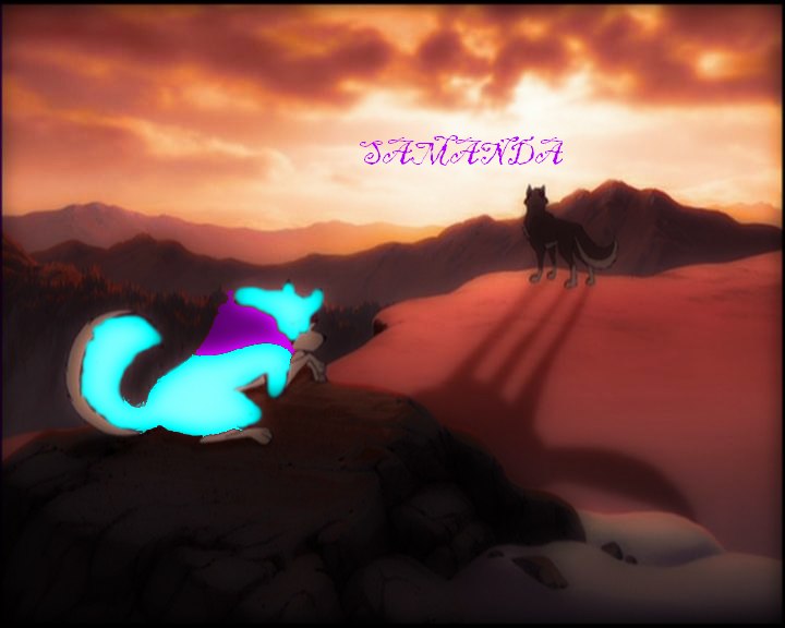 Саманда Волкова фотография #10