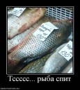 Дмитрий Бондарь фотография #44 (источник - https://vk.com/id2666436)