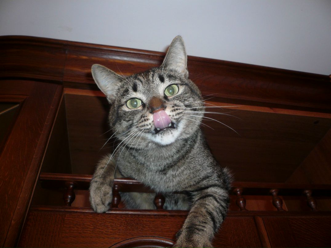 Игорь Корнеев фотография #25