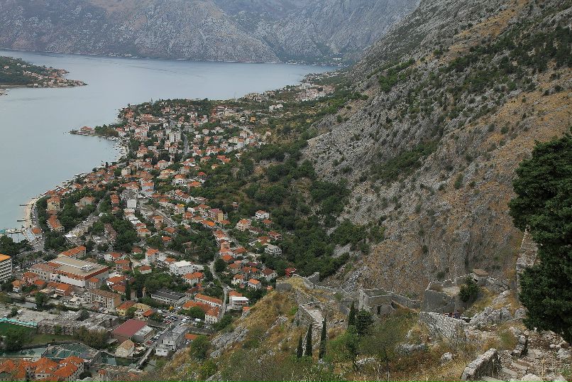 Дмитрий Старицын фотография #12