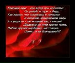 Анастасия Ершова фотография #38 (источник - https://vk.com/id85769143)