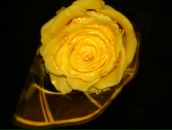 Фотография Добриновой Татьяны