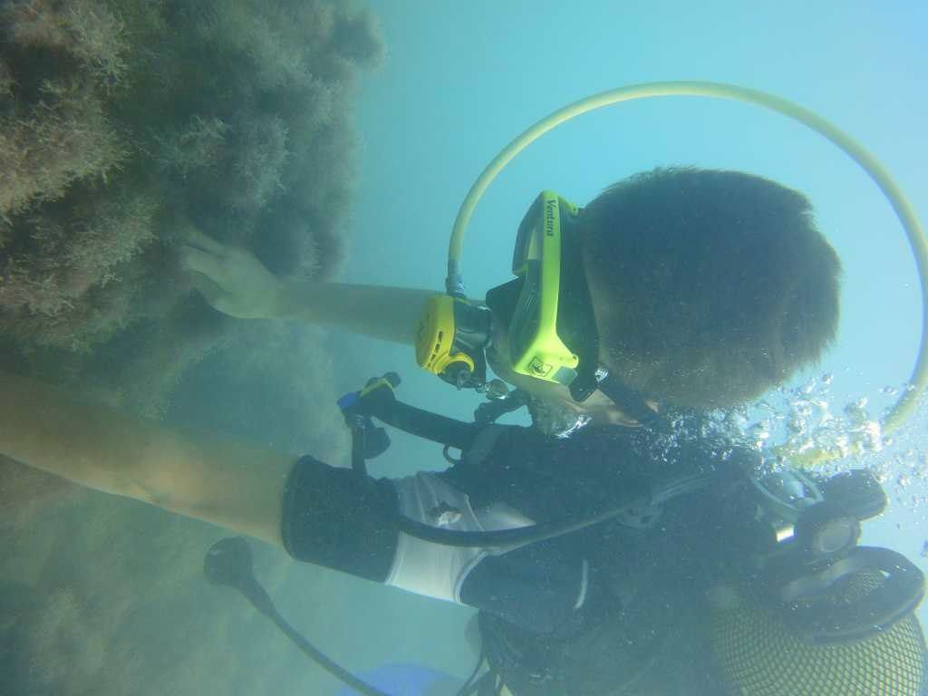 Дмитрий Пантелеев фотография #37