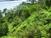 Валерий Иванов фотография #19 (источник - https://vk.com/id3000426)