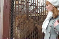 Фотография Бородин Максим