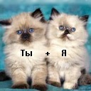 Андрій Притолюк фотография #22 (источник - https://vk.com/id111194091)