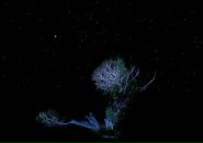 Фотография Hyperborea Biosphere