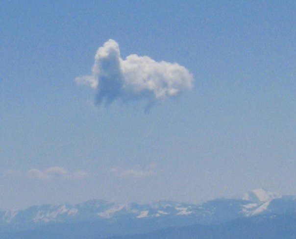 Yuri Bishaev фото №23