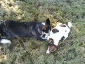 Вероніка Попозогло фотография #17 (источник - https://vk.com/id74244264)