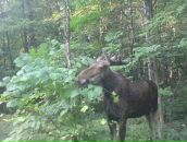 Фотография Боткина Евгения