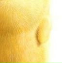 Іра Марциняк фотография #14 (источник - https://vk.com/id148611521)