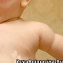 Віка Білявська фотография #6 (источник - https://vk.com/id119621132)