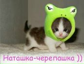 Фотография Потаповой Натальи