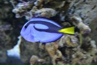 Тарас Віник фотография #49 (источник - https://vk.com/id13298421)