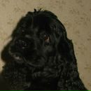 Доллі Наливайко фотография #5 (источник - https://vk.com/id82840394)