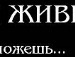 Софія Sofia фотография #33 (источник - https://vk.com/id53613585)