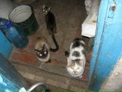 Андрій Дацюк фотография #48 (источник - https://vk.com/id27747637)