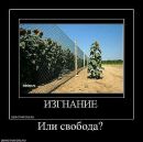 Іруня Бобошко фотография #26 (источник - https://vk.com/id77218760)