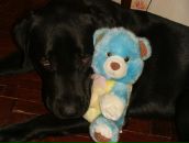 Фотография Белов Константин