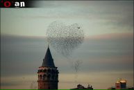 Osman Yıldız фотография #25 (источник - https://vk.com/id143501475)