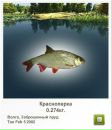 Вадім Кушиль фотография #8 (источник - https://vk.com/id63545127)