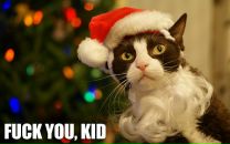 Фотография Рапуто Андрея