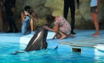 Фотография Литвиновой Кристины