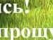 Домініка Мачужак фотография #9 (источник - https://vk.com/id52680109)
