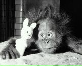 Фотография Панфилова Михаила