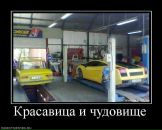 Игорь Калашников фотография #24 (источник - https://vk.com/id960434)