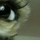 Інна Коногорова фотография #21 (источник - https://vk.com/id29727475)