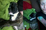 Фотография Татьяненко Кристины