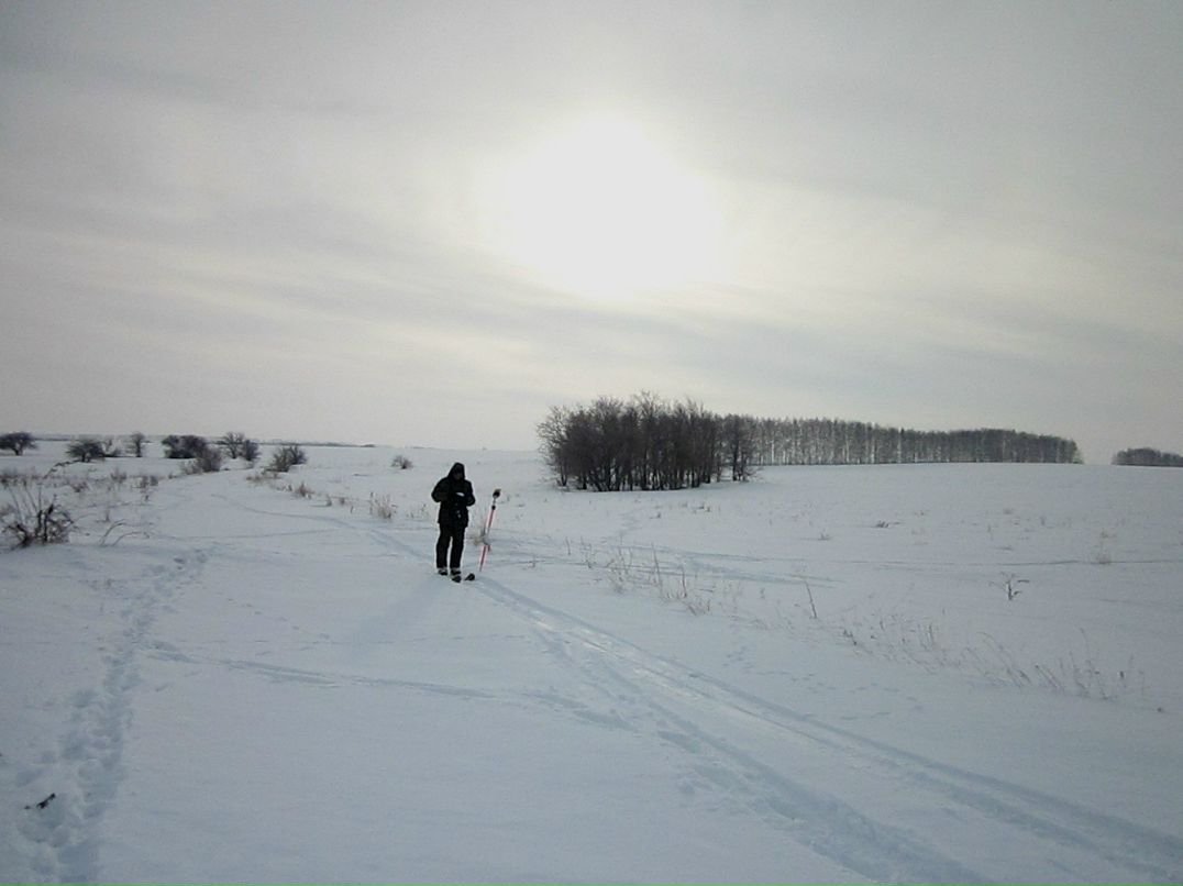 Дмитрий Козлов фотография #38