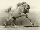Οлеся Κудрявцева фотография #39 (источник - https://vk.com/id169427654)