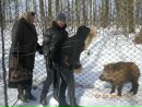 Віта Володіна фотография #34 (источник - https://vk.com/id169255167)