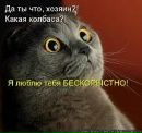 Аделіна Владімова фотография #8 (источник - https://vk.com/id143075784)