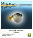 Сергій Ваксютенко фотография #9 (источник - https://vk.com/id133291802)