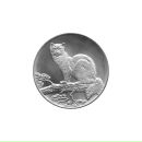 Фотография Соболева Романа