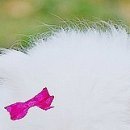 Ірина Мисюк фотография #48 (источник - https://vk.com/id105920111)