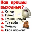 Ірина Колька фотография #44 (источник - https://vk.com/id138837191)