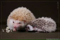 Фотография Букреевой Анны