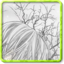 Андрій Джугало фотография #44 (источник - https://vk.com/id144352262)