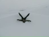 Антон Береговенко фотография #45 (источник - https://vk.com/id2727756)