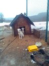 Сергій Равлик фотография #5 (источник - https://vk.com/id153895579)