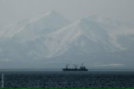 Оля Ткаченко фотография #15 (источник - https://vk.com/id1748957)